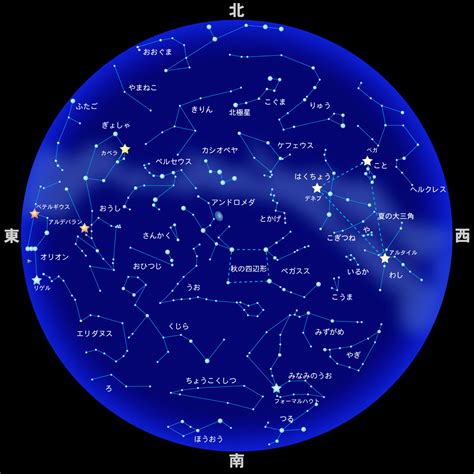 星座 11月22日